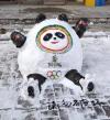 2022ѩ~ֶͬǱն